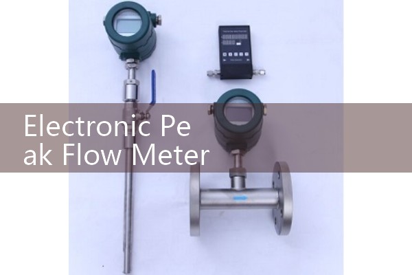 Electronic Peak Flow Meter Review: Monitoring Asthma and Lung Function with Smart Tech