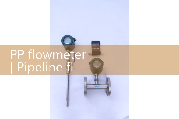 PP flowmeter