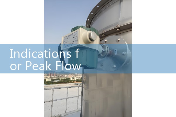Indications for Peak Flow Meter: Medical Assessment Protocols for Chronic Obstructive Pulmonary Diseases