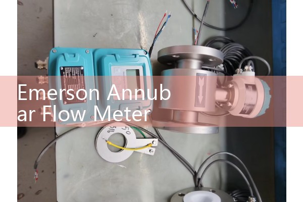 Emerson Annubar Flow Meter Design: Averaging Pitot Tube Technology for Low Pressure Drop
