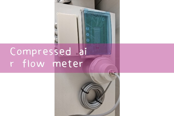compressed air flow meter cfm|heat flow meter